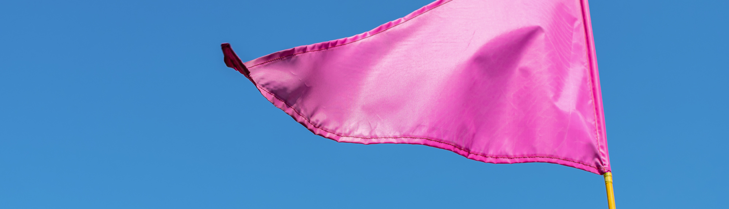 Pink triangular flag flying in the wind
