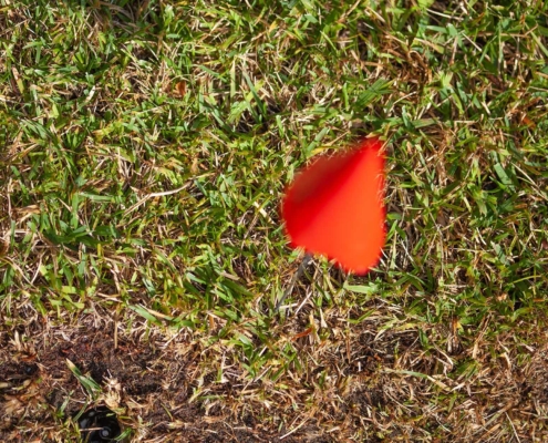 red marker flag on a lawn