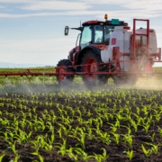 Image of a tractor spraying corn with pesticides.